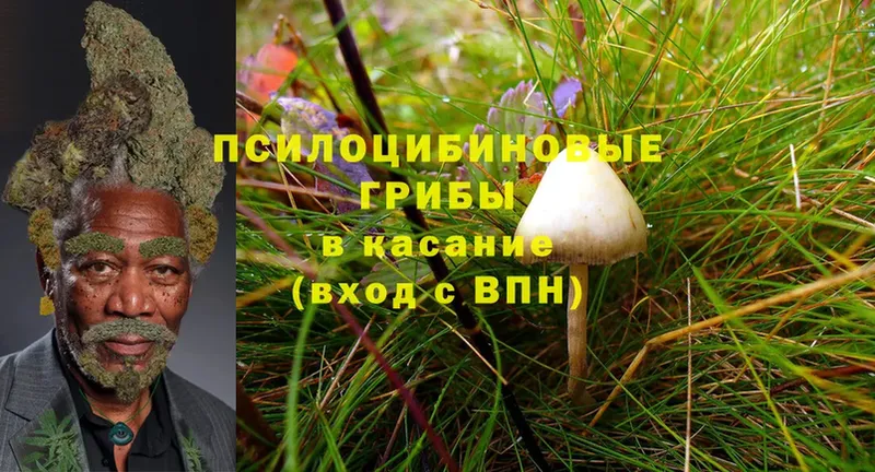 Галлюциногенные грибы Magic Shrooms  Дорогобуж 